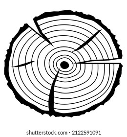 Icono de línea de anillos de crecimiento del árbol vectorial aislado en fondo blanco. Sección transversal del icono del árbol en estilo de línea negra. Gráficos web de Woodland