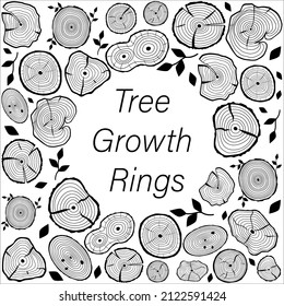 Vector tree growth rings line border frame on white background. Cross-section border frame in black line style. Woodland web graphics