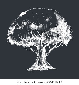 Vector tree. Hand drawn botanical illustration in sketch style for print, card, textile and other natural design. White on dark gray.