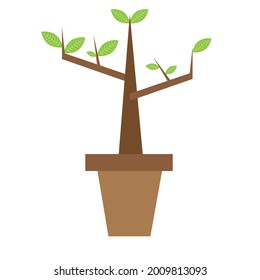 vector tree illustration or tree image