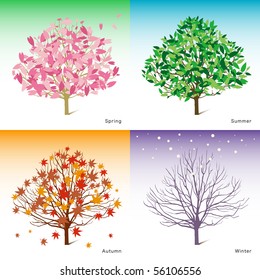 vector tree illustration, spring, summer, winter, autumn