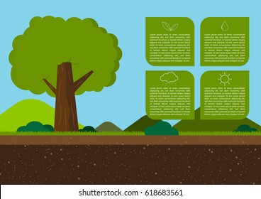 Vector tree infographic illustration