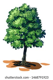 vector tree isolated on white background