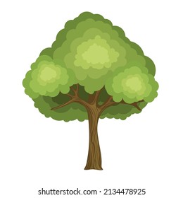 Árbol vectorial aislado en fondo blanco