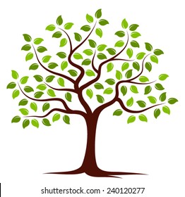vector tree isolated on white background