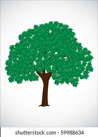 vector tree isolated on white background
