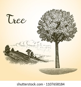 Vector tree and landscape