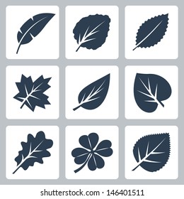 Vector tree leaves icons set