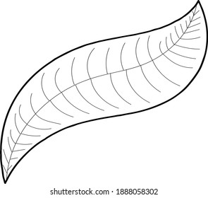 Vector tree leaves. minimalism and abstraction
