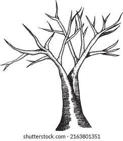 Vector tree on white background