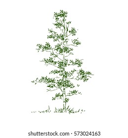 Vector tree on white background.