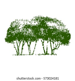 Vector tree on white background.