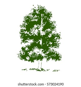 Vector tree on white background.