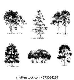 Vector tree on white background.