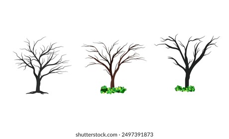 vector tree pack set for design elements with a greening concept. Illustration of a dry tree without leaves. Twigs and tree branches