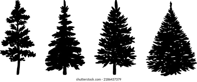Vector tree pine silhouette. Nature forest logo. Vector templates, spruce silhouette branch sketch