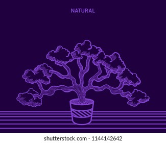 vector tree in the pot outlines on dark violet background for brochure banner or publication