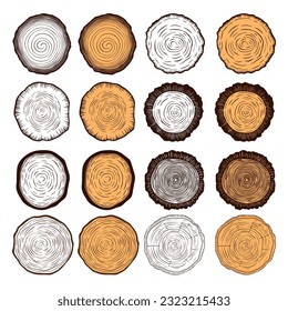 Vector Tree Ring, Saw Cut Tree Trunk, Wood Log, Cross. Pine, Oak Slices, Lumber. Cut Timber, Wooden Texture with Tree Rings. Hand Drawn Design Elements Set