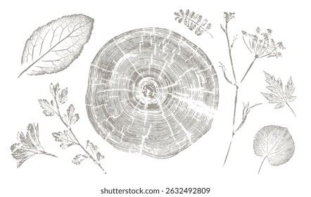 Vector tree rings and vector floral art. Hand drawn line wedding elegant leaves for invitation save the date card. Botanical rustic trendy vector art.