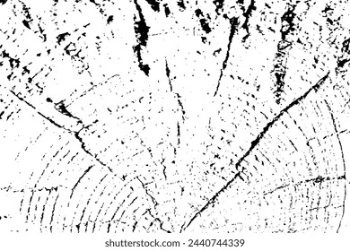 Vector tree rings overlay background in black white and saw cut tree trunk. Grunge nature background design elements. 