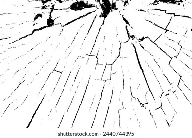 Vector tree rings overlay background in black white and saw cut tree trunk. Grunge nature background design elements. 