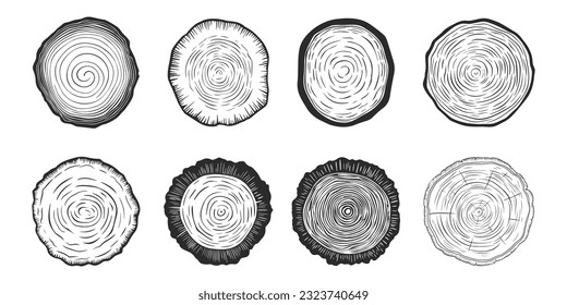 Vector Tree Rings, Saw Cut Tree Trunk, Wood Log, Cross. Pine, Oak Slices, Lumber. Cut Timber, Wooden Texture with Tree Rings. Hand Drawn Design Elements Set