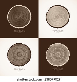 Vector tree rings and saw cut tree trunk conceptual background