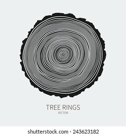 Vector tree rings and saw cut tree trunk conceptual background