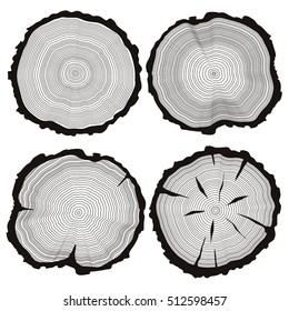 Vector tree rings set, concept of saw cut pine, fir-tree trunk, hand drawn slice, sawmill flat icons, wooden texture illustration isolated on white background.