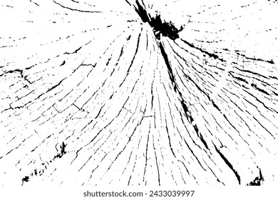 Vector tree rings trace background in black white and saw cut tree trunk. Grunge nature background design elements. 