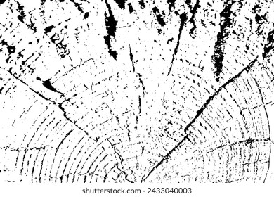 Vector tree rings trace background in black white and saw cut tree trunk. Grunge nature background design elements. 