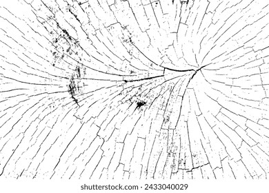 Vector tree rings trace background in black white and saw cut tree trunk. Grunge nature background design elements. 