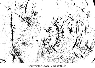 Vector tree rings trace background in black white and saw cut tree trunk. Grunge nature background design elements. 