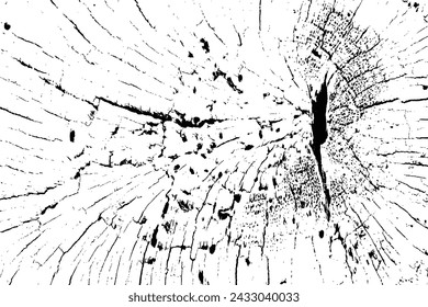 Vector tree rings trace background in black white and saw cut tree trunk. Grunge nature background design elements. 