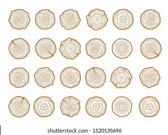 Vector tree rings. Wood texture vector. Abstract circle tree background