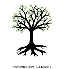 Vector tree with roots и green leaves