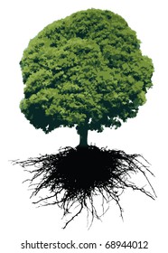VECTOR Tree and its roots isolated on white