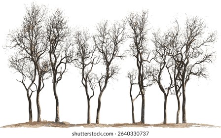 Vector tree row cutout, dry trees landscape, isolated nature silhouette, environmental vector, outdoor scene, transparent background, nature art, forest design, tree clipart