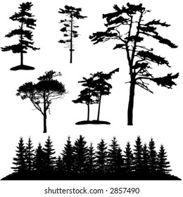 Silhouette Pine Tree Stock Images, Royalty-Free Images & Vectors