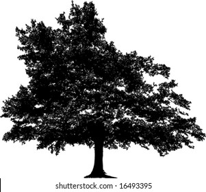 Vector tree silhouette