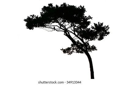 vector tree silhouette