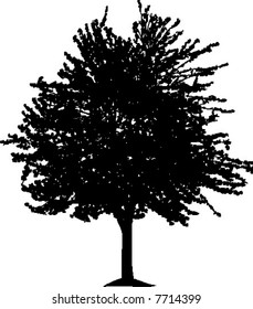 Vector of a tree silhouette