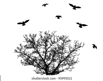 vector tree silhouette with birds