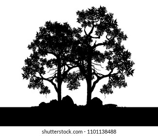 Vector of tree, Silhouette of tree, bush with bare branches. afar landscape and black space for text, isolated illustration