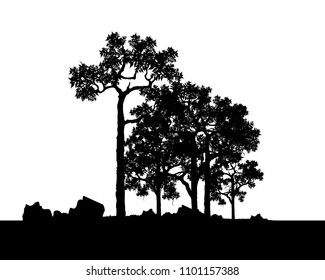 Vector of tree, Silhouette of tree, bush with bare branches. afar landscape and black space for text, isolated illustration