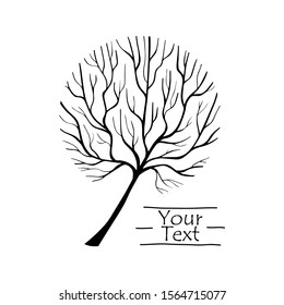 Vector Tree silhouette. Hand drawn line illustration. Branches and twigs. EPS 8