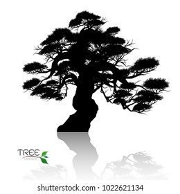 Vector of tree, silhouette icons on white background. tree flat icon for apps and websites. 