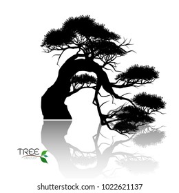 Vector of tree, silhouette icons on white background. tree flat icon for apps and websites. 