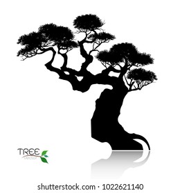 Vector of tree, silhouette icons on white background. tree flat icon for apps and websites. 