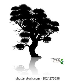 Vector of tree, silhouette icons on white background. tree flat icon for apps and websites. 